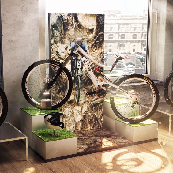 Bike Display